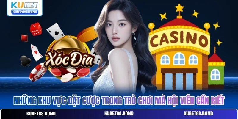 Những khu vực đặt cược trong trò chơi mà hội viên cần biết