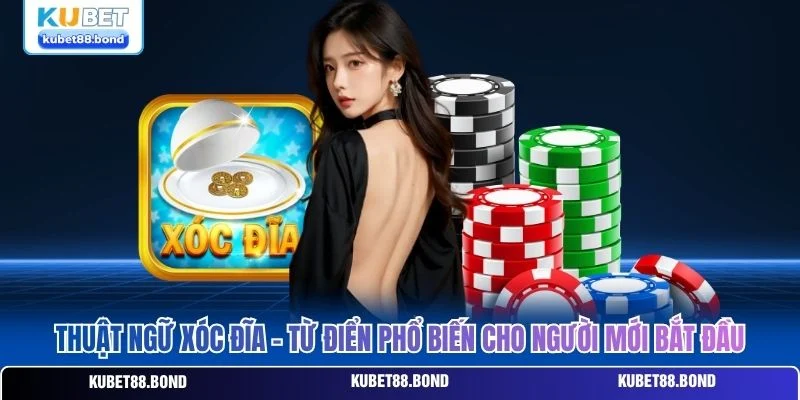 Thuật Ngữ Xóc Đĩa - Từ Điển Phổ Biến Cho Người Mới Bắt Đầu